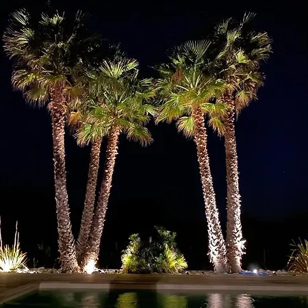 Des Vignes * Ramatuelle