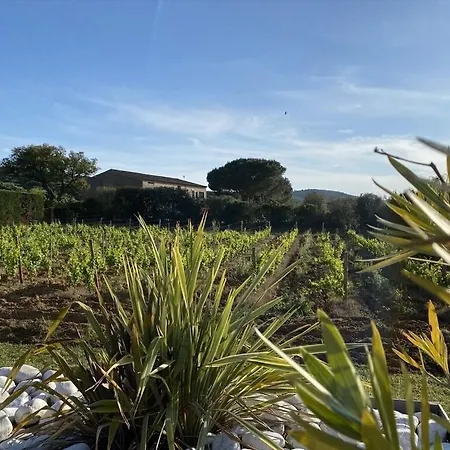 Des Vignes Villa Ramatuelle