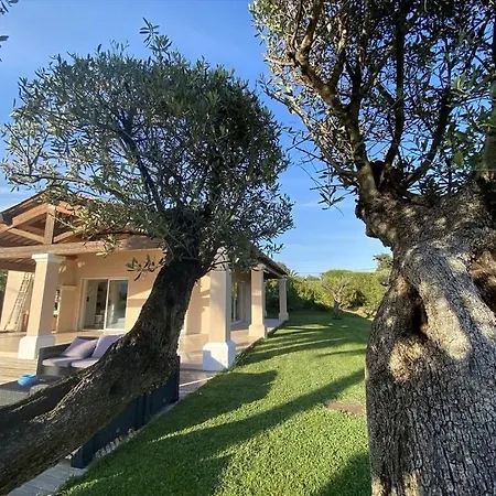 Des Vignes Ramatuelle