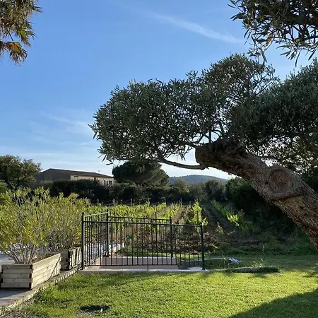 Des Vignes