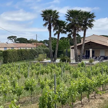 Villa Des Vignes *